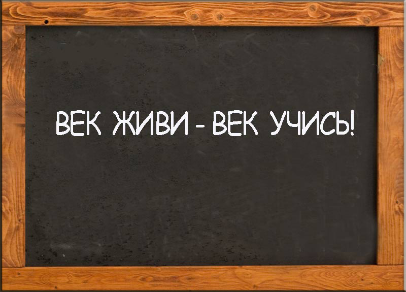 Век живи век учись о чем этот афоризм Век живи век учись о чем этот афоризм